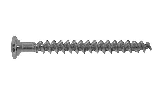 アリンコ(皿)