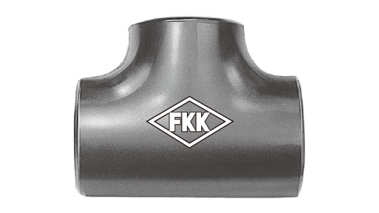 ＦＫＫＳＧＰ溶接チーズ(Ｔ)